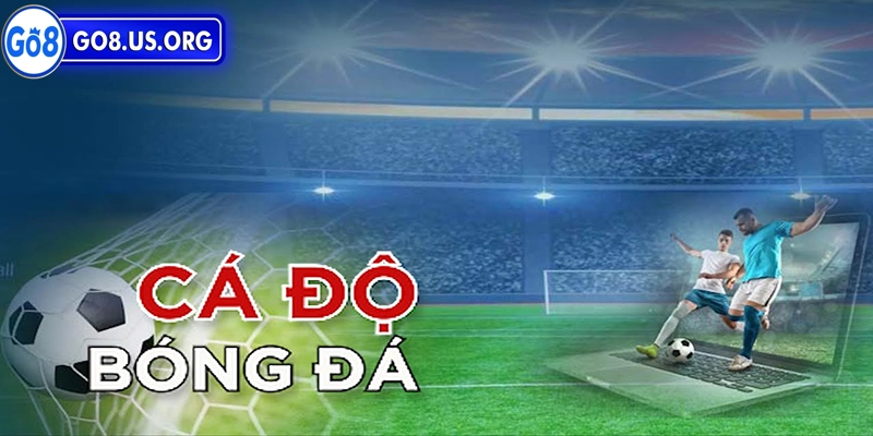 Các cược bóng đá online - dễ dàng, nhanh chóng